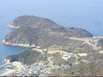 カメが海を泳いでいるように見える荘内半島のさきっぽの写真