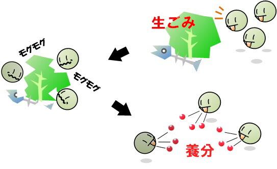 微生物のイラスト