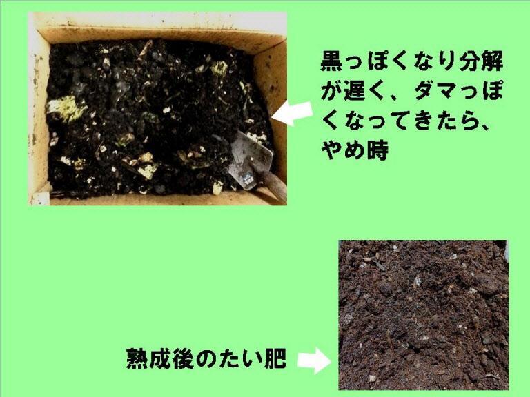 黒っぽくなり分解が遅く、ダマっぽくなってきたら、やめ時 熟成後のたい肥