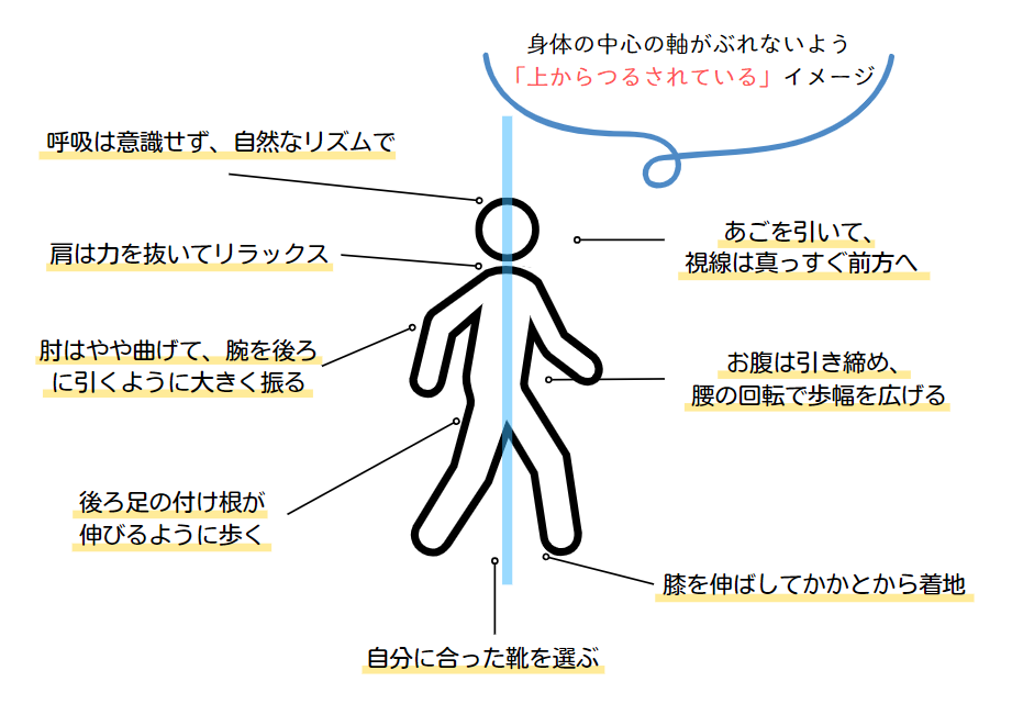 正しい歩行の姿勢