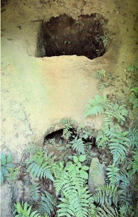 草が茂っている土に2つの穴(窯跡)が開いている写真