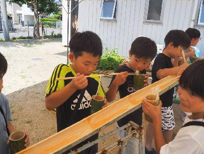 そうめん流しで男の子たちが一生懸命すくったそうめんを食べている写真