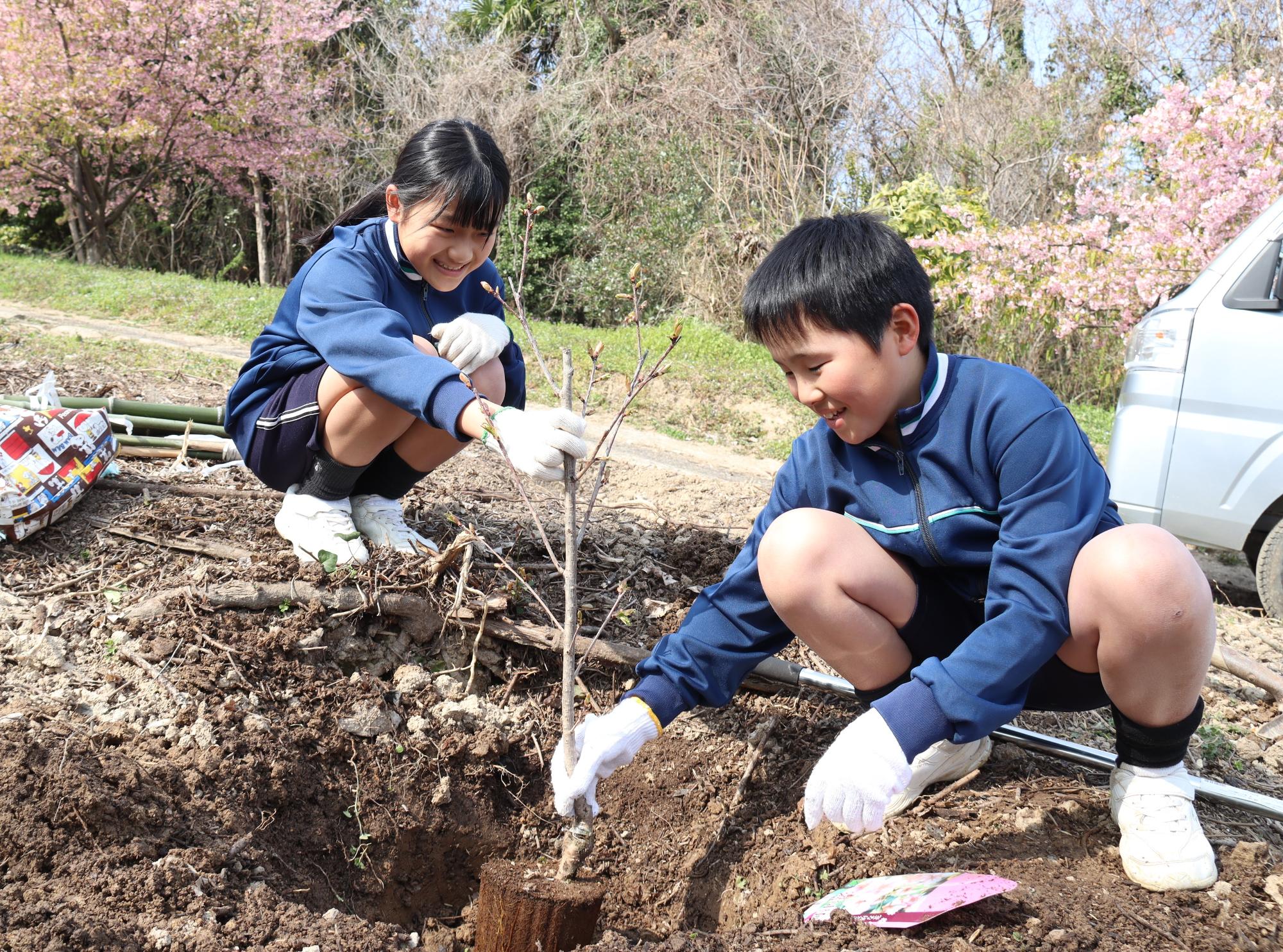 能登半島地震の復興を祈念し桜を植樹