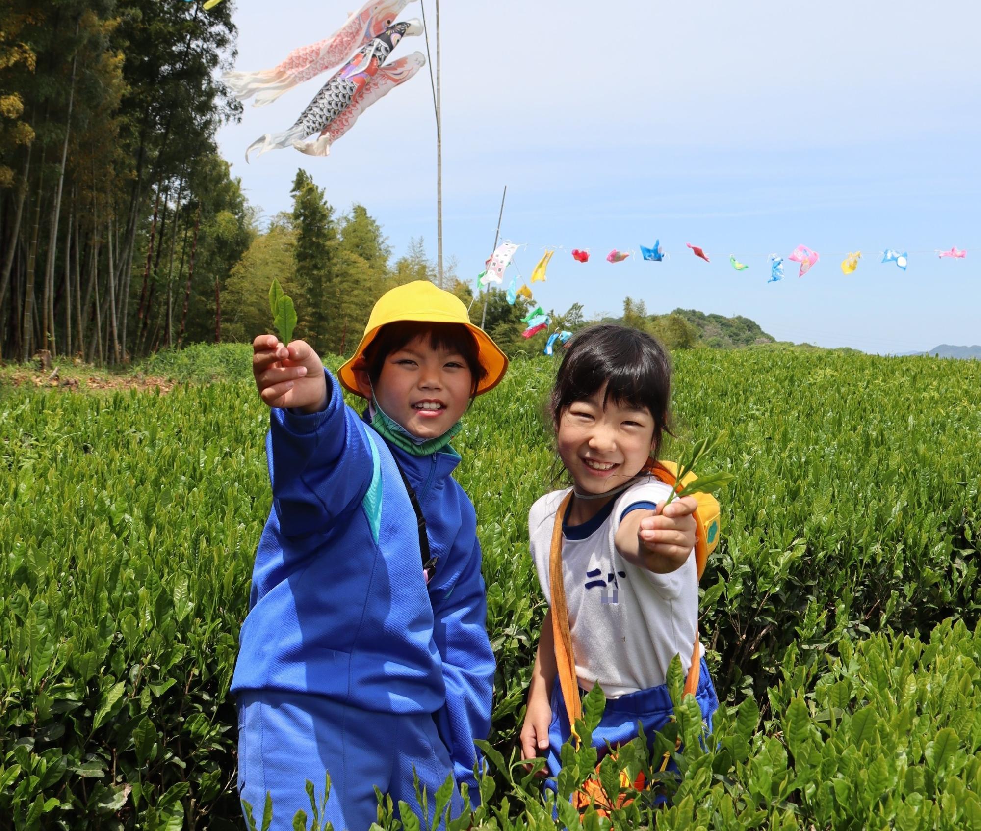 お天気に恵まれ、こいのぼりも気持ちよさそうに泳いでいました(二ノ宮小学校)