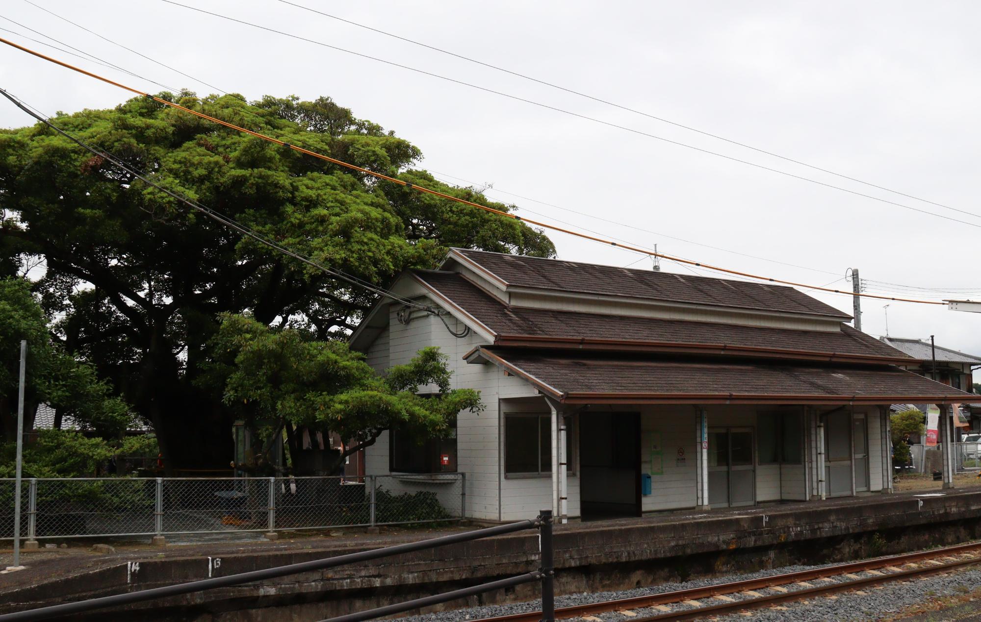 JR讃岐財田駅の築101年の木造駅舎とタブの木