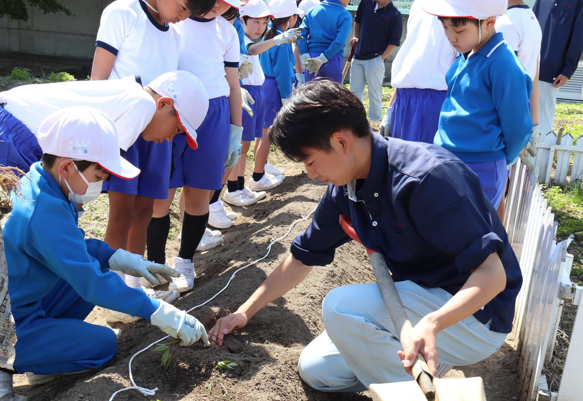 薬用作物を知ろう（比地大小学校）