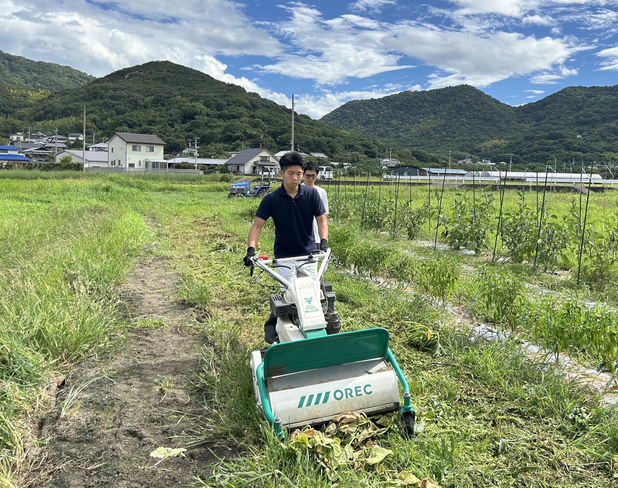 地域プレイヤー