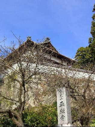 桜の木の奥の石垣の上にお寺が立っている写真