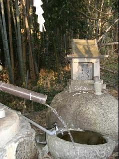 竹藪の中に設置されている、しし落としから井戸水が流れ、石で出来た器に水が溜まっている様子の写真
