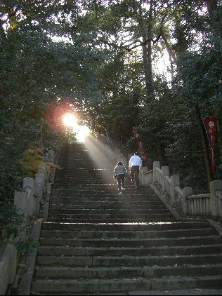 階段を2名の方が登っていて上から日の光が差し込んでいる写真