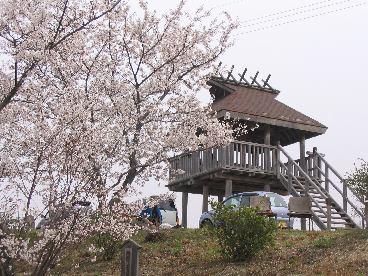 桜が咲いている奥に昔の山城をイメージした展望台が写っている写真
