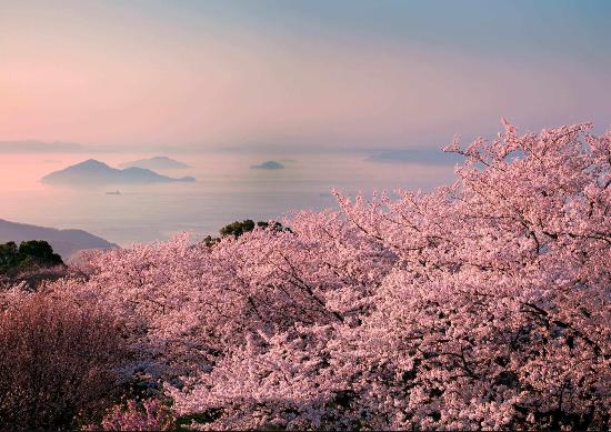 紫雲出山