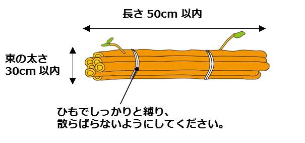 長さ50センチメートル以内、束の太さ30センチメートル以内、紐でしっかりと縛り、散らばらないようにしてください。と書いてあるひもで束ねられた剪定枝のイラスト