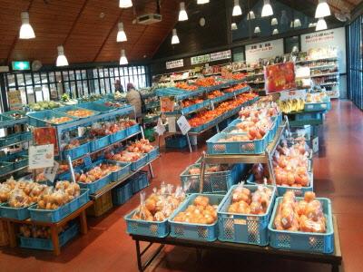 たくさんのフルーツや農産物が並んでいる物産館の店内の写真