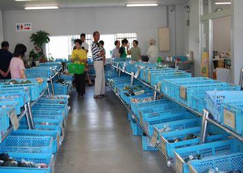 商品の入った青いかごが並べられている店内で商品を見ている買い物客の写真