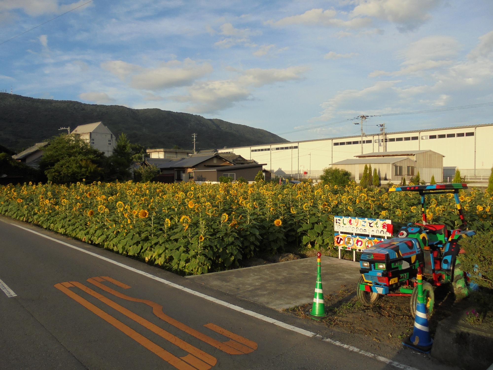 写真2