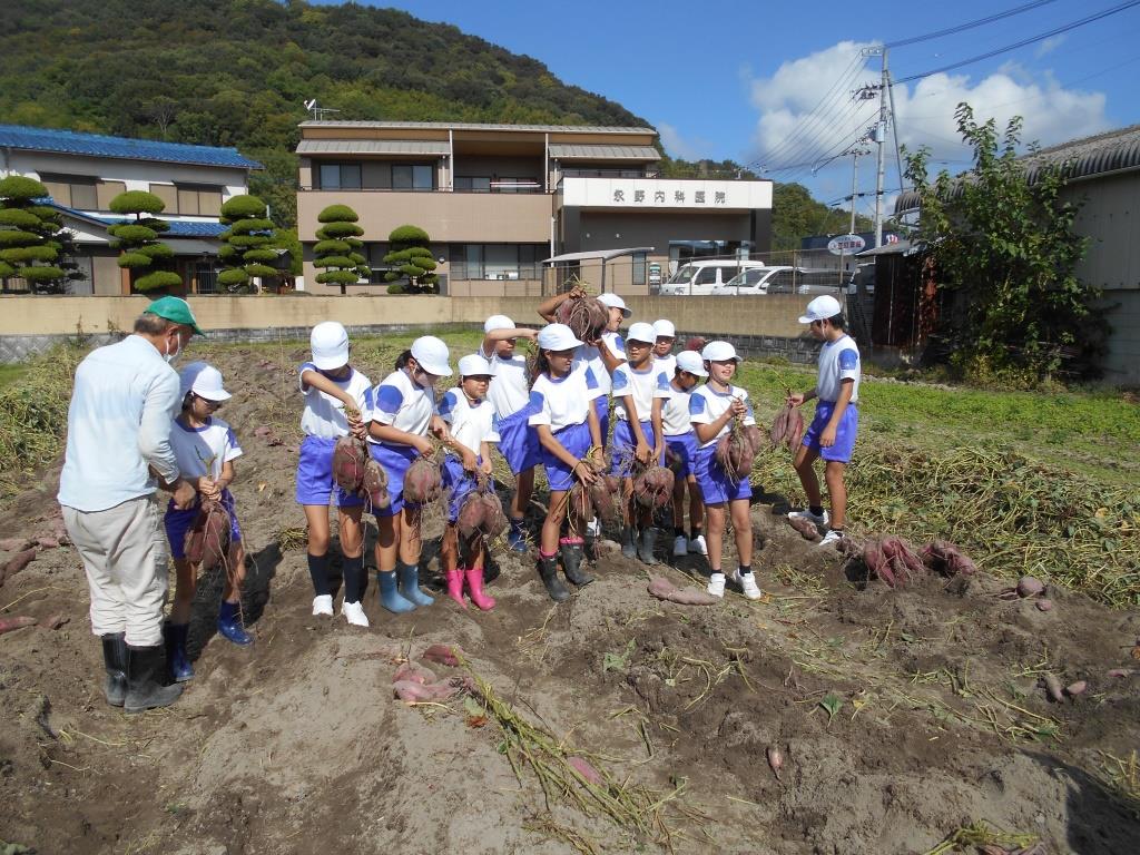 写真3