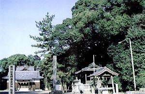 周りを森に囲まれた菅生神社社叢の全体写真