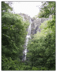 高い山の上から流れる不動の滝の写真