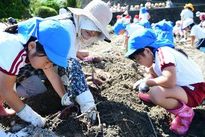 芋を探している供たちと手助けをしている年配の女性の方の写真