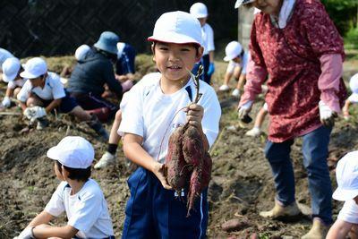 掘り出した芋を両手で大事そうに持っている男の子の写真