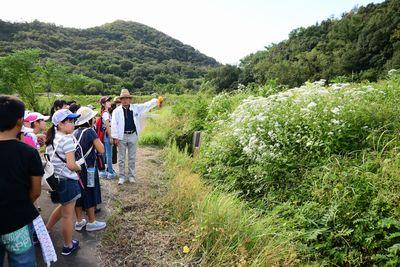 男性が草むらの方を指さし、子供たちが指さす方向を見ている写真