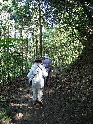 森の中をストックを使いながら女性2人が歩いて行る写真