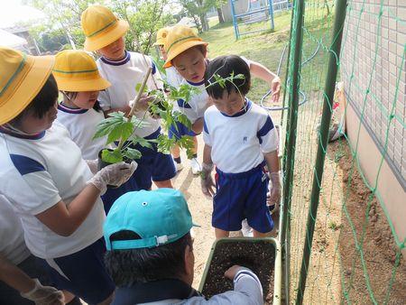 男性がプランターの土をさわっていて、男性の周りに小学生の子どもたちが集まって様子を見ている写真