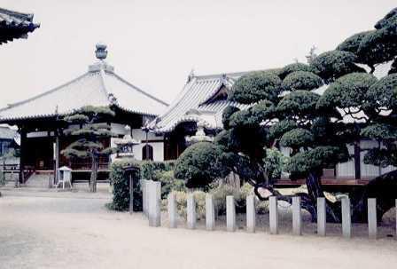 境内に立派な松の木があり、奥に2つの建物が見える吉祥院の写真