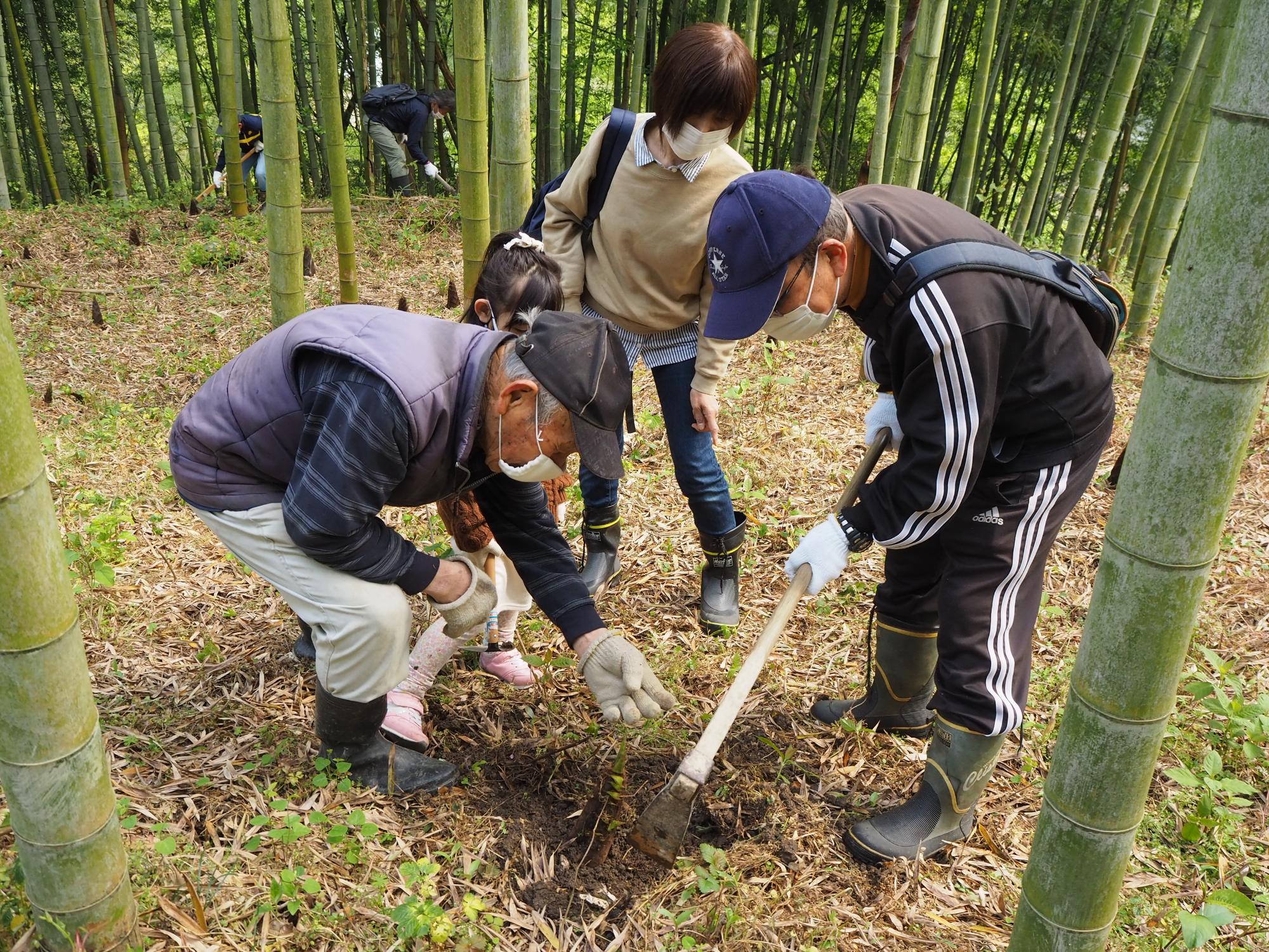 たけのこの掘り方を教えてもらう参加者家族