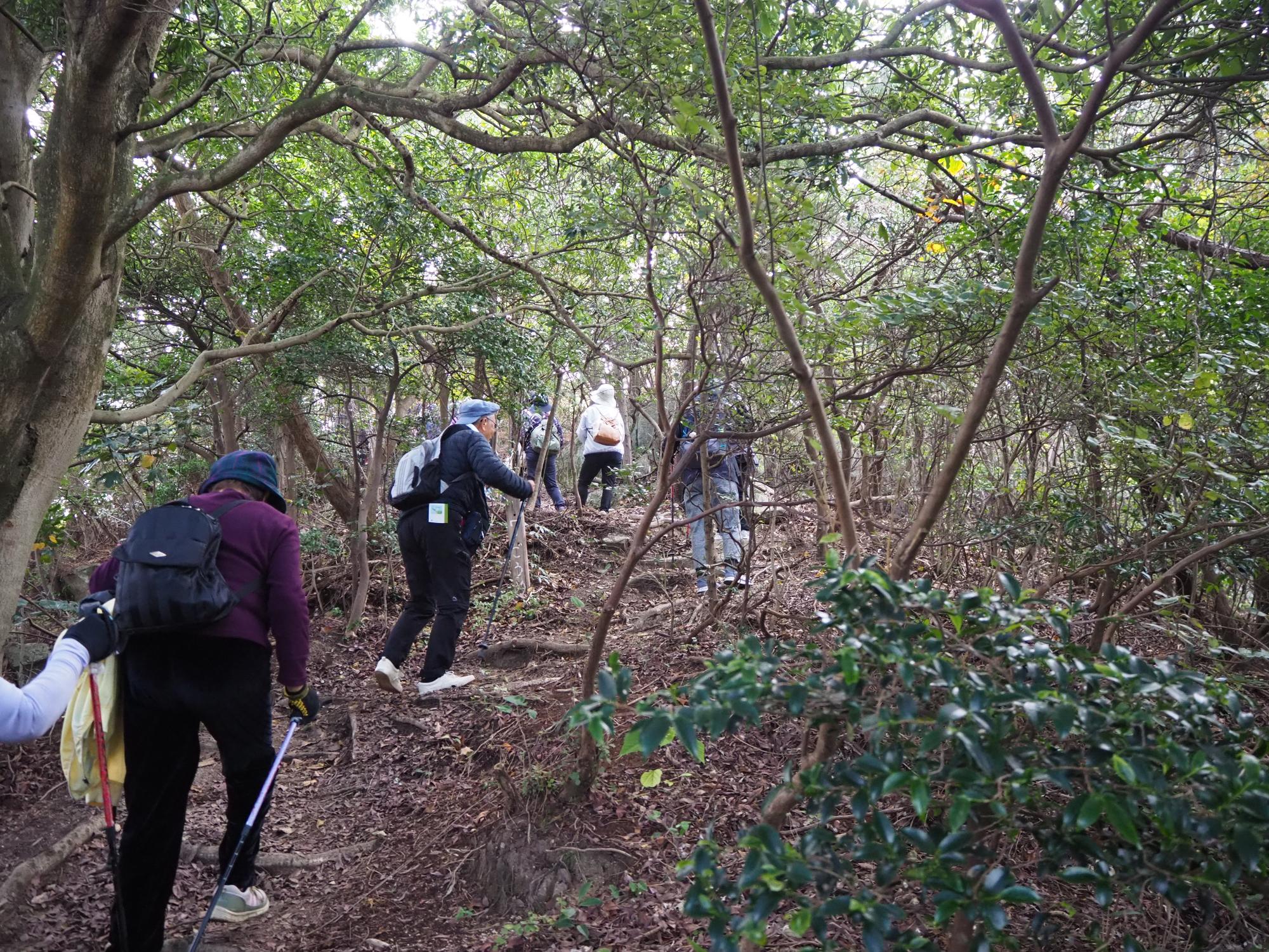 登山する参加者