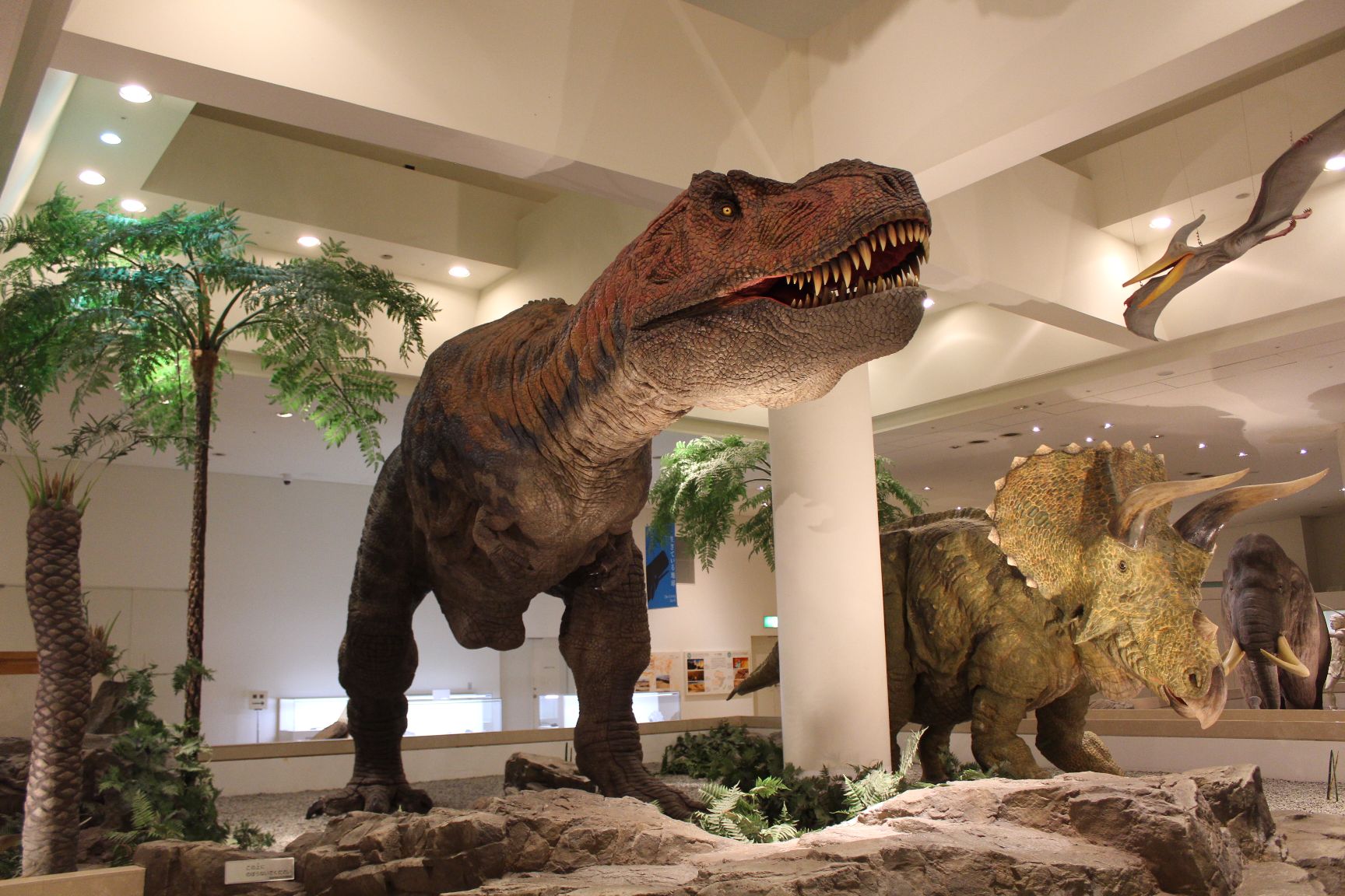 愛媛県総合科学博物館の動く恐竜の展示