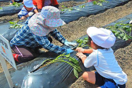 日よけの帽子を被った作業着姿の女性と女子児童が二人で苗を植えている写真