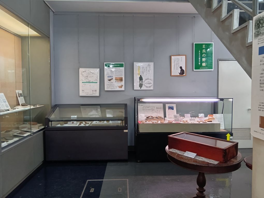 発掘調査速報展 展示全体