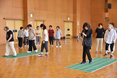 参加者達が二つに分かれて緑のマットの上で運動をしている写真