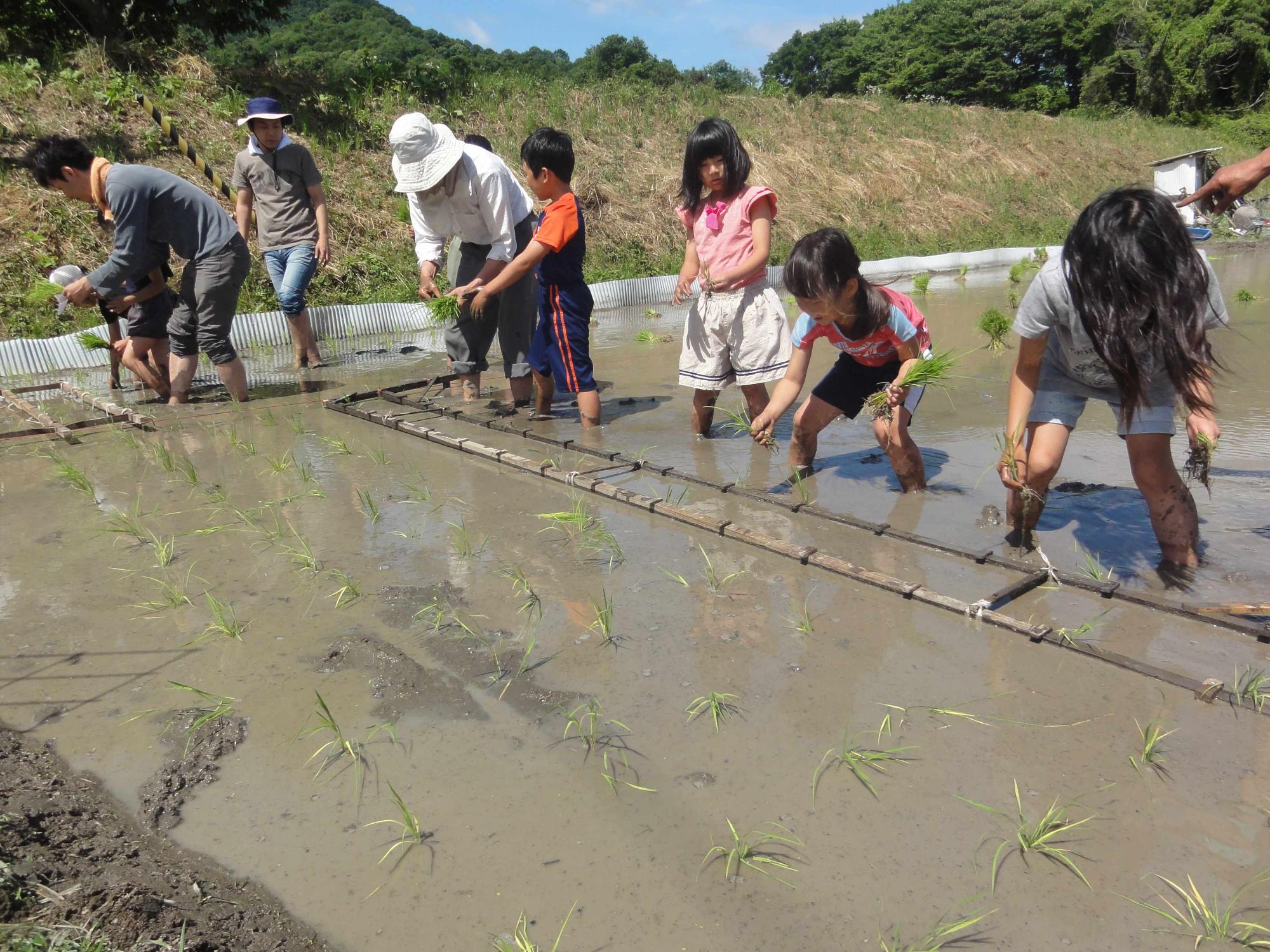 田植え講座のようす