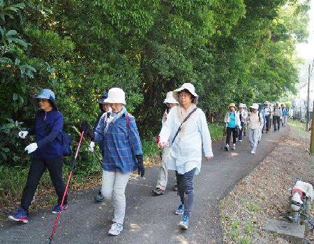 山道を杖を使いながら歩いている参加者の皆さんの写真