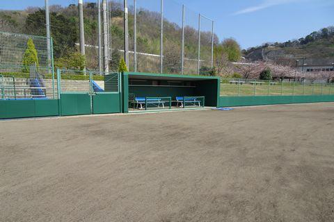 緑色の防護マットが設置されている野球場のフェンスの写真