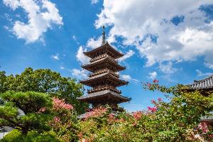 本山寺の五重塔