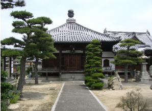 吉祥院の本堂の手前の庭に松の木が植えられている写真