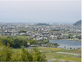 田んぼの奥に住宅街が見える写真