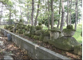 神社の木々の前にある石塔群の写真
