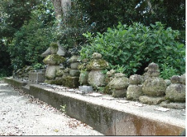 石塔群の周りに植物が生い茂っている写真