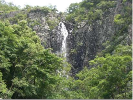 不動の滝の下に木々が生い茂っている写真