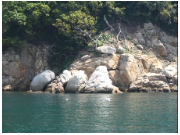 島に横たわる白い大きな3つの石の写真