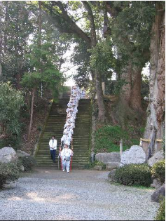白衣に竹笠を着用したお遍路さんたちがお寺の石段を降りている写真
