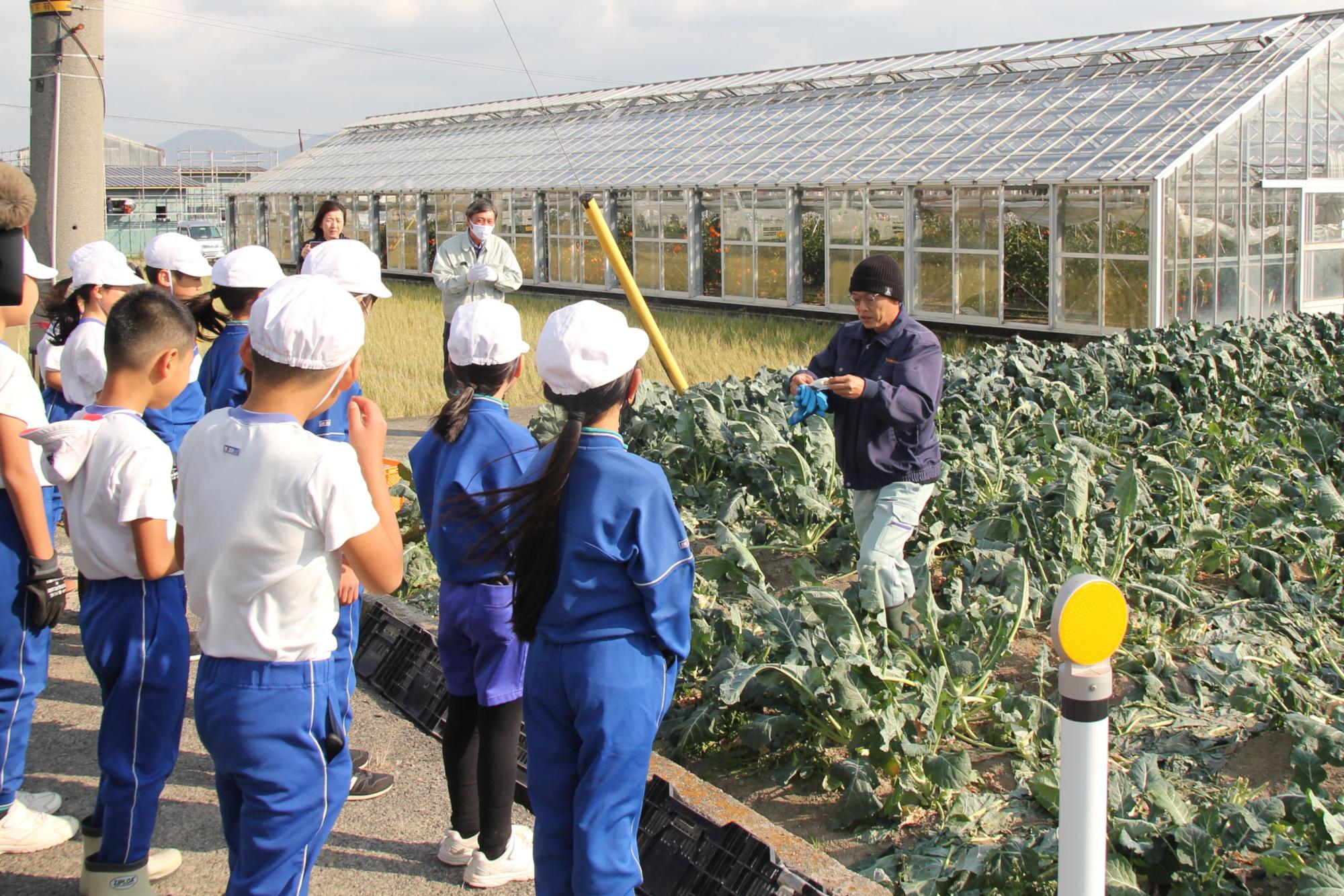 まずは収穫の仕方を教えてもらいます