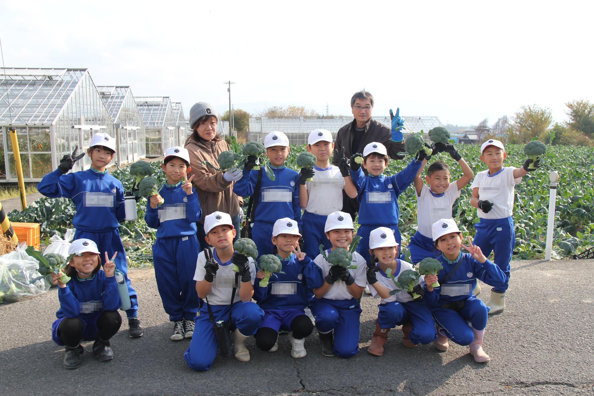大きなブロッコリーがとれました！