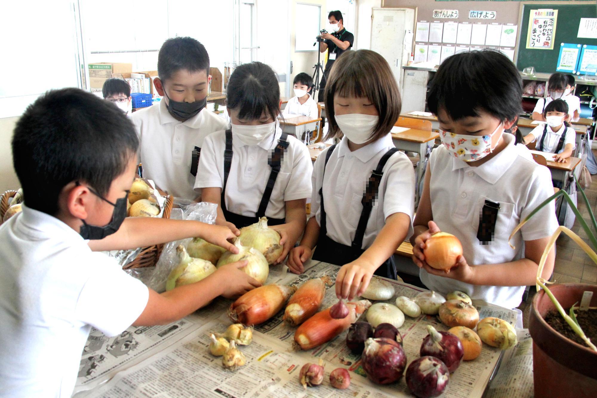 タマネギ出前授業（本山小）