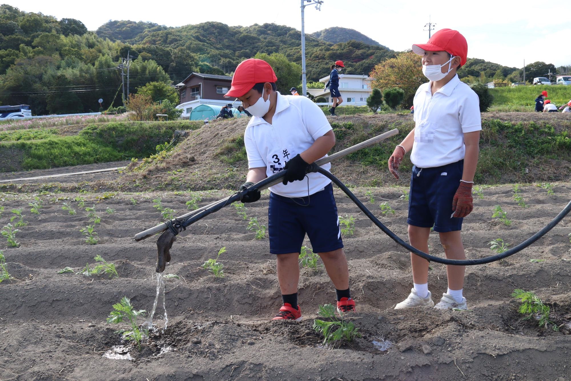 水やりをする子どもたち